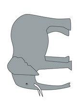 Elefant.pdf